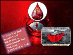 Image result for blood redemption bible leviticus