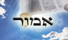 Image result for emor