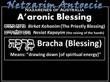 Image result for birkat kohanim hands