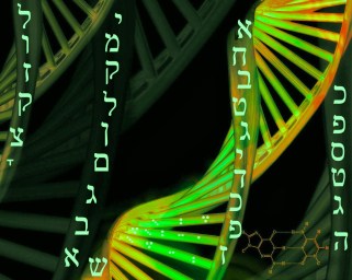 Image result for torah in our dna