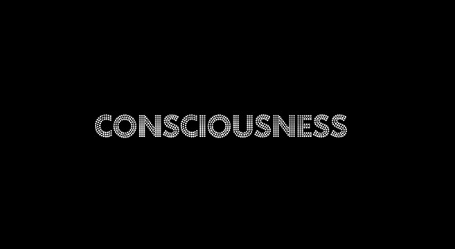 1consciousness1